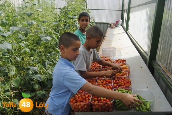 sooqelzahra2lud602 (13).JPG